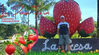 La Presa Farm || Strawberry Farm at Sergio Osme&ntilde;a Sr., Zamboanga del Norte || Brader MomentsTV 🌱