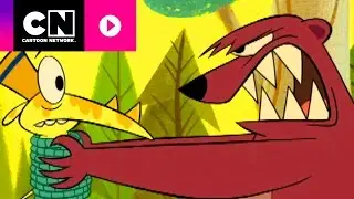 Hipo | El campamento de Lazlo | Cartoon Network