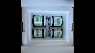 How We Package and Ship Fresh Spirulina &ndash; Behind the Scenes at SpiraVeg