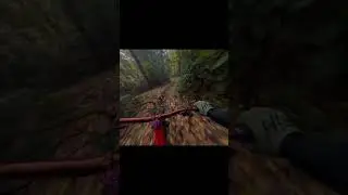 lyrik days #rockshoxlyrik #mtbgopro #mtb #downhillmtb #mrbcrash #highpivot