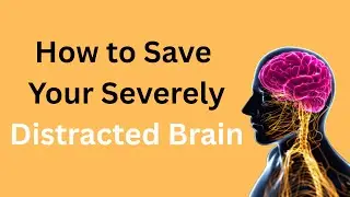 3 Steps to Save Your Severely Distracted Brain/ Sharing & Learning