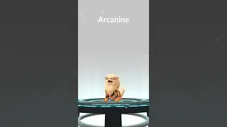 Growlithe evolution into Arcanine in Pokémon go #pokemongo #shorts