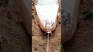 intelligent techniques and ideas of irrigation systems  #shorts  #irrigation