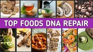 DNA Repair Foods | What Foods Are Good For DNA Healing