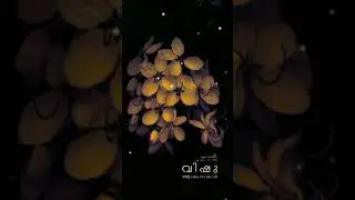 Vishu special | vishukkani Whatsapp status video