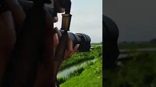 CANON 1100D PHOTO SHOOT.55-250MM LENS #shorts #viral #youtubeshorts #photography #india #short