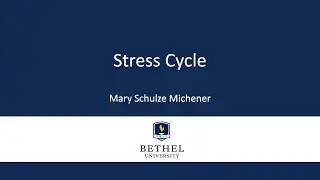Stress Cycle