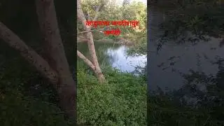कादूनाला जगदीशपुर अमेठी #kadunala #amethi #youtubeshorts #ytshorts #शॉर्ट्स #shorts #shortsvideo