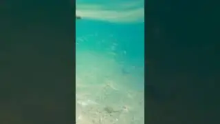Mihama Beach, American Village, Okinawa