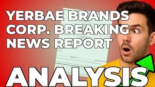 Yerba&eacute; Acquired: My Thoughts on This Safety Shot Takeover