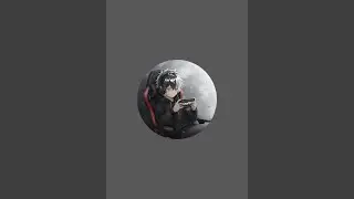 𝐂𝐫𝐚𝐟𝐭𝐘 is live stream #roblox #live #tugtugsahur