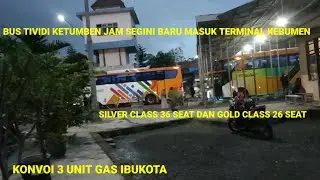 BUS TIVIDI (EFISIENSI) KETUMBEN JAM SEGINI BARU MASUK TERMINAL KEBUMEN || SILVER CLASS DAN GOLD CLAS