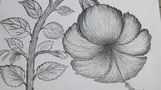 How to draw HIBISCUS FLOWER🌸🤔 Drawing Easy #howtodraw #flowers #viral #shortfeed #ytshorts #hibiscus