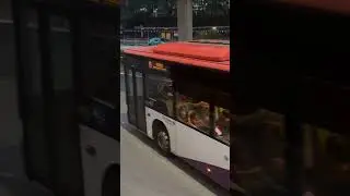SG1182P 85 LYDEP . heh rare one here SBST days #bus #goaheadbus #sbstransit #85