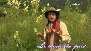 couplan reinedespres