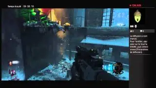 The giant bug live
