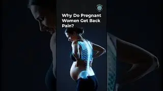 Why Back Pain Happens in Pregnancy 🤰| Causes Explained | XRAY 3D |