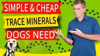 Essential Nutrients for Dogs - Trace Minerals (1 Powerful. Simple. Solution.)