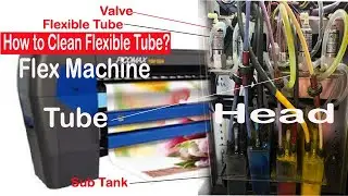 How do you clean a Flex machine head and flexible tube?