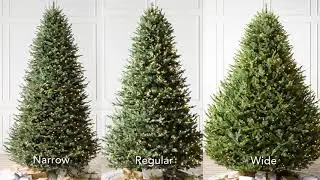 BH Balsam Fir Narrow Christmas Tree | Balsam Hill CA