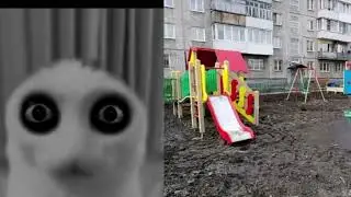 Meme cat becoming uncanny (your slide)