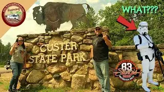 Custer State Park Thinks It's a National Park  🦬 Best Ways To See It