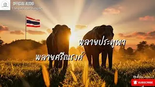 ทวงคืนช้างไทย - The safe space music [Official Audio] #พลายประตูผา #พลายศรีณรงค์