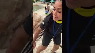 Mom and dad catch son trying to get in the water with sharks #shorts