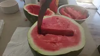 Custer Review: The Best Watermelon Cutter Slicer | Watermelon Cutter Slicer #review