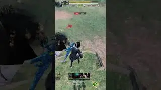 Shotgun Group Discount