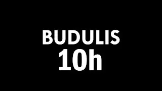 Radioshow Budulis, Algis - Davai Nalivai 10h