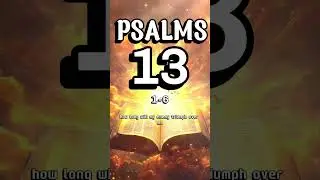 Psalm 13 : Trusting God Through the Long Night of Sorrow