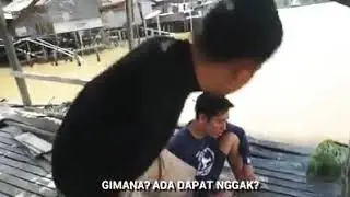 Umpan Ikan Mujarab