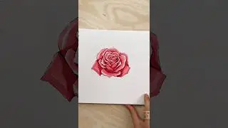 How to draw a rose // brush pen drawing tutorial 🌹 #alcoholmarkers #art