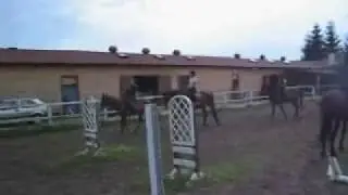 Ranch Palermo