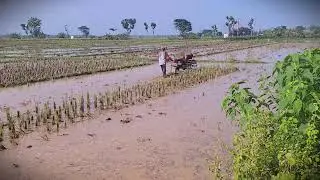 Smart Machine: Using a Power Tiller for Faster Farming _FarmersLife _Shorts