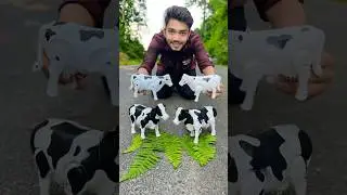 Remote control 4 Ta Cow 🐄 White And Black 🥹