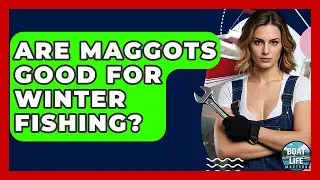 Are Maggots Good For Winter Fishing? - Boat Life Masters