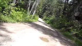 Off (Paved) Road (Forest Road 533)