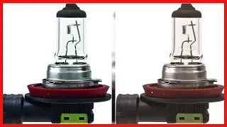 HELLA H11LL Long Life Bulb, 12V, 55W