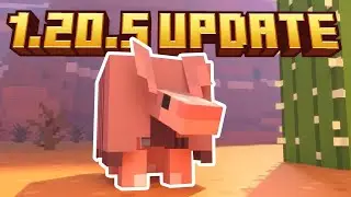 How to start a Minecraft 1.20.5 Server