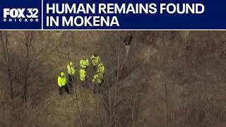 Possible human remains found in Mokena
