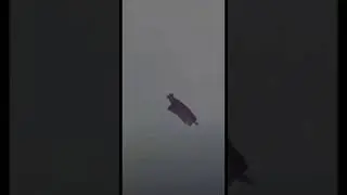 is this a flying extraterrestrial?? #alien #ufo #cryptid #paranormal #uap