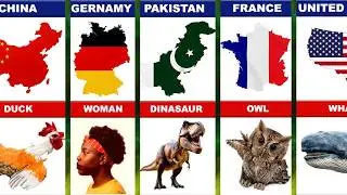 Countries Map That Looks Like Real Objects 🌍