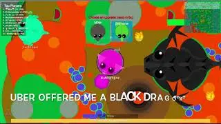 Mope.io//Killing 1 Mill xp Zebra// Trolling!
