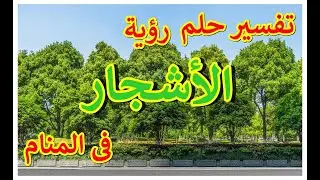 حلقة الشجرة - تفسير حلم رؤية الأشجار فى المنام | 25 تفسير حلقة الشجرة 2022