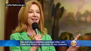 Bill That Would Rename Coral Reef After Late State Rep. Kristin Jacobs Goes To Gov. DeSantis
