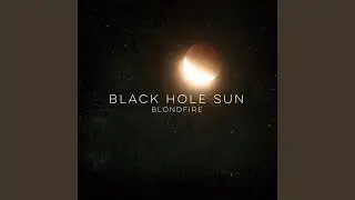 Black Hole Sun