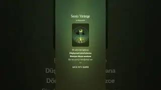 Sessiz Yörünge