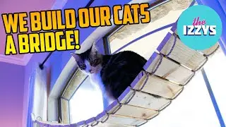 We build a RICKETY CAT BRIDGE!